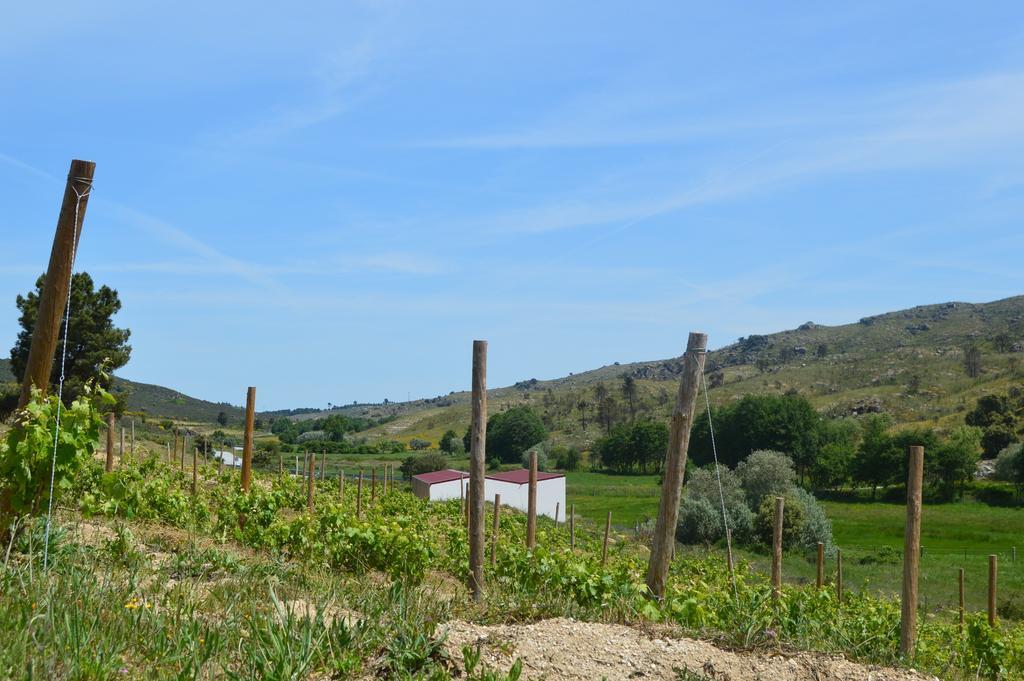 Quinta Vale Da Prata Villa Celorico da Beira Kültér fotó